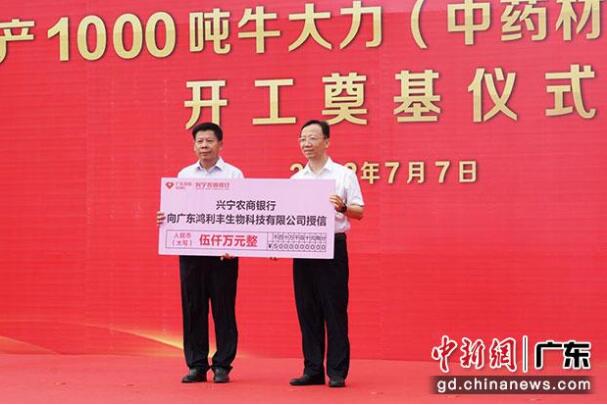 年產(chǎn)1000噸牛大力加工項(xiàng)目在廣東省興寧市開工奠基
